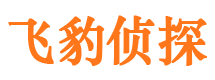 水城市婚外情调查